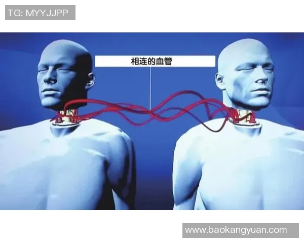 上海足球队防反战术解析:深度剖析其成功背后的秘密与策略 上海足球队防反战术解析:深度剖析其成功背后的秘密与策略